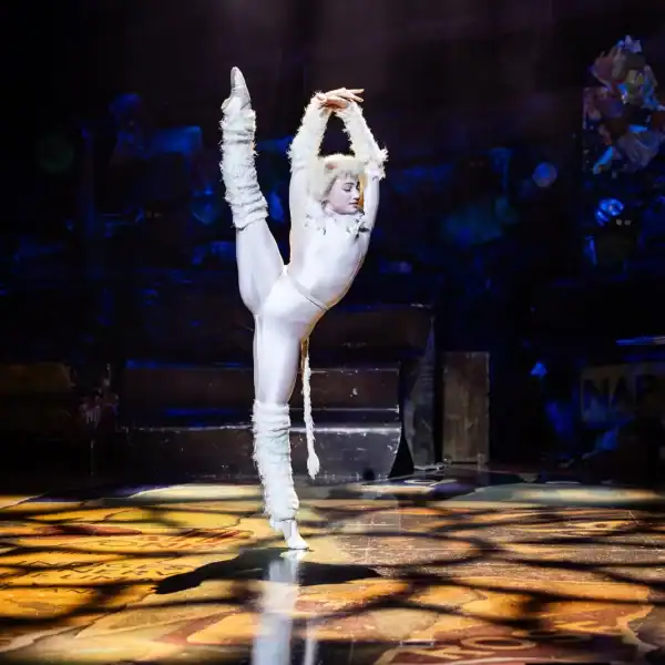 Victoria, the white kitten performs a solo ballet routine.